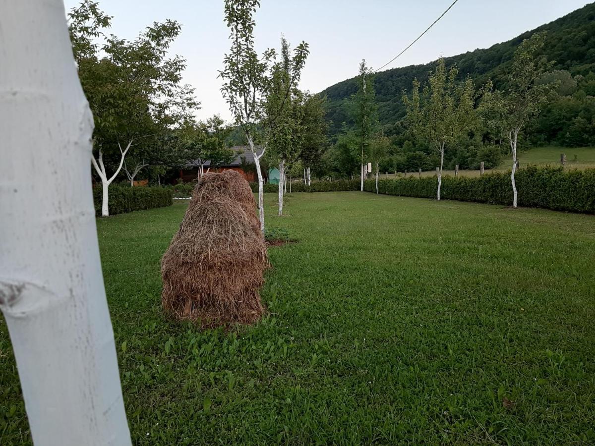 Rest House Ripac Prascijak 외부 사진