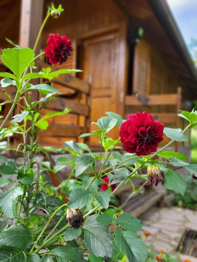 Rest House Ripac Prascijak 외부 사진